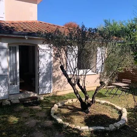 Appartamento Beau T2 meublé récent Bouliac Esterno foto