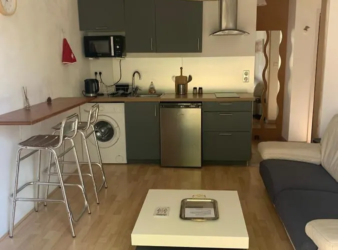 Beau T2 Meuble Recent